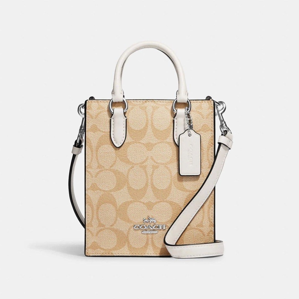Coach North South Mini Tote