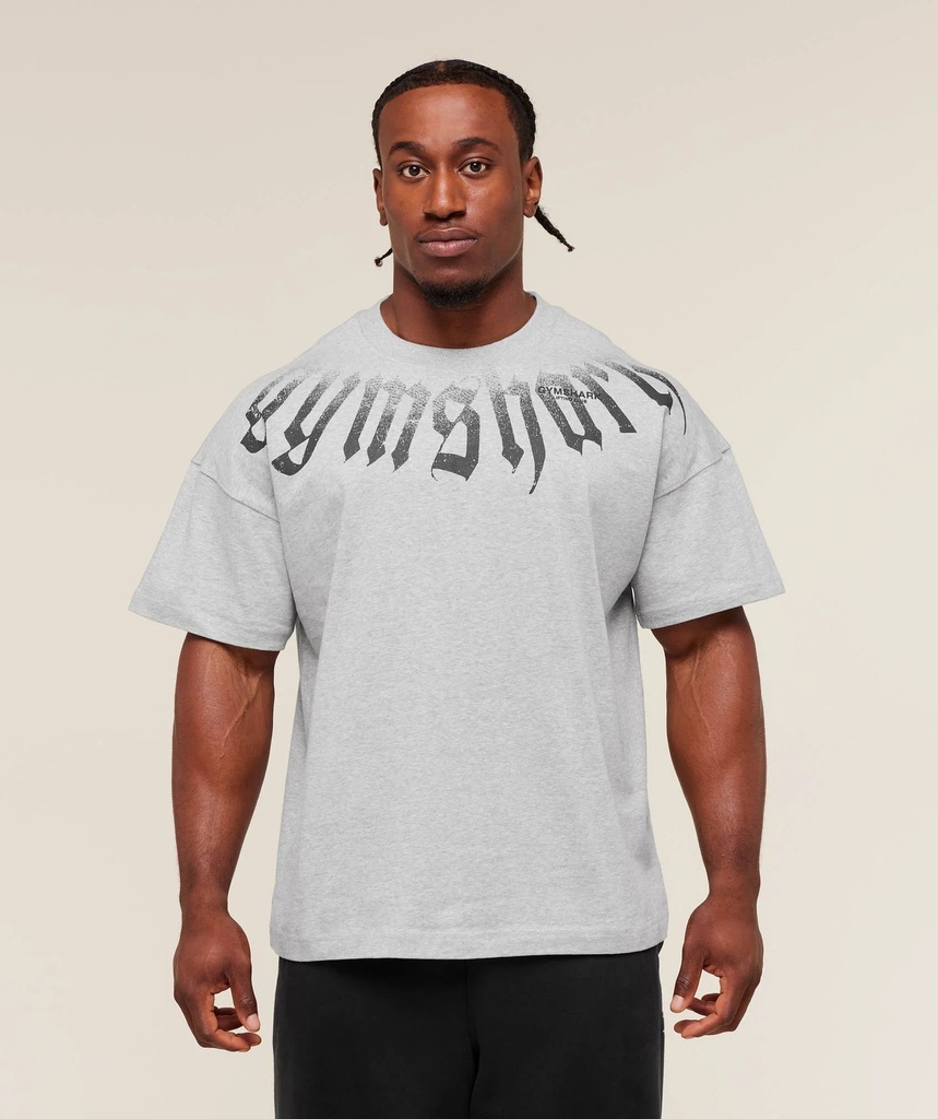 Gymshark Fade Graphic T- Shirt - Light Grey Core Marl